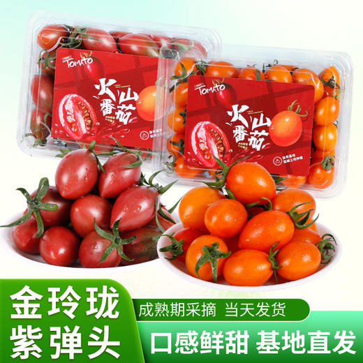 【火山双味小番茄】黄紫双色，酸甜双杀，顺丰发货！ 商品图0