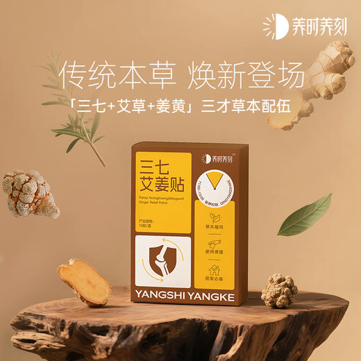 养时养刻 三七艾姜贴 商品图0