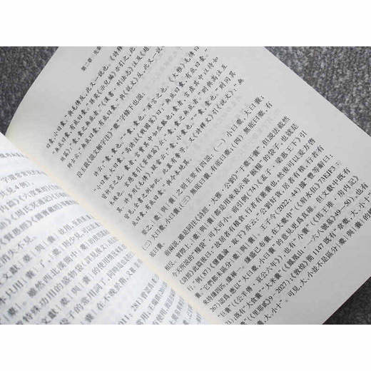 先秦两汉常用词更替研究与语料考论 商品图1