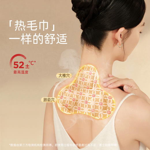 桂枝防风纤背贴   大面积热敷     12味草本成分    get仙女背 商品图2