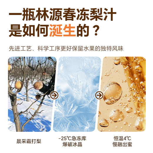 林源春 100%NFC 冻梨原汁 6瓶装 商品图8
