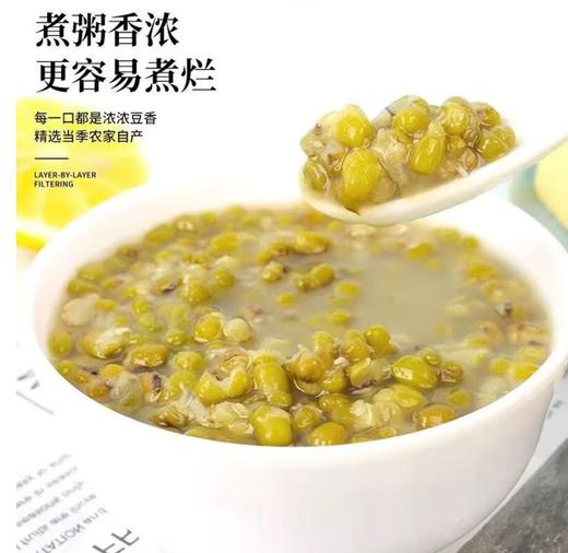 【YC】正宗东北绿豆新货五谷杂粮 商品图3