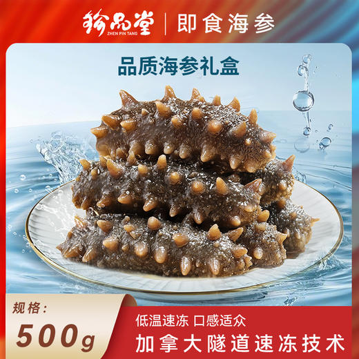 珍品堂即食海参 大连原产 辽刺参 肉质饱满 参壁厚实 口感鲜美 商品图0