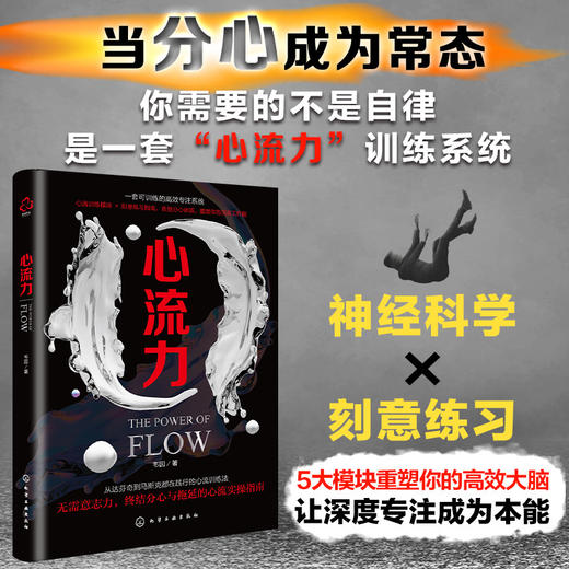 心流力 商品图0