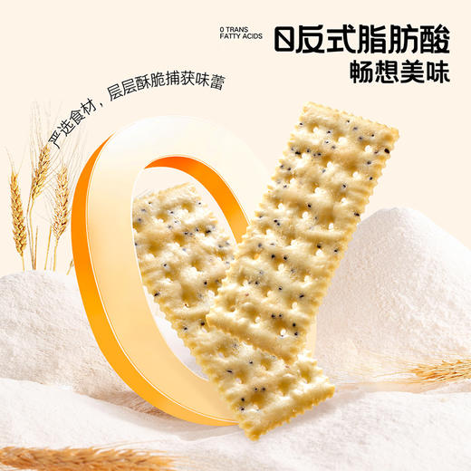 怪力食厂 牛油果鳕鱼苏打饼干奇亚籽风味508g/箱 商品图3
