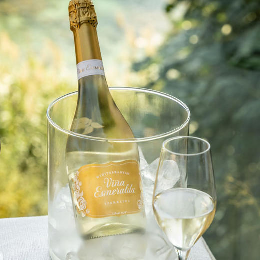 桃乐丝宝石星光桃红香槟法干型起泡 商品图5