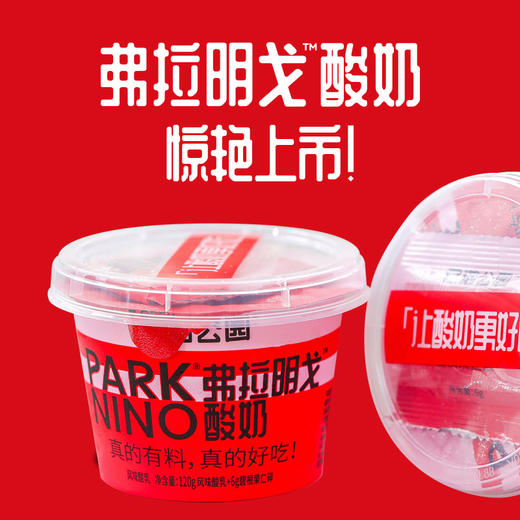 尼诺公园冰淇淋酸奶 弗拉明戈酸奶 风味发酵酸乳奶香醇厚入口即化 新鲜日期 商品图3