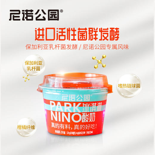 尼诺公园冰淇淋酸奶 弗拉明戈酸奶 风味发酵酸乳奶香醇厚入口即化 新鲜日期 商品图2