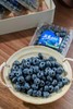 【云南抚仙湖 湖边蓝莓】果肉饱满，酸甜可口，较同品类果花青素、维生素等的常规营养成分含量更胜一筹,含有极为丰富的黄酮类和多糖类化合物，顺丰空运 商品缩略图14
