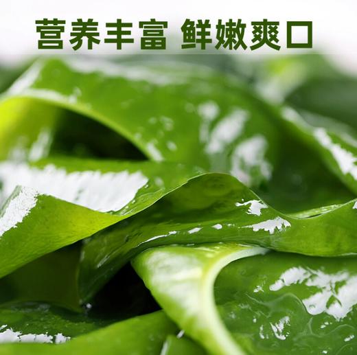 【YC】裙带菜凉拌菜发盐渍裙带菜即食麻辣烫火锅食材新鲜货 商品图1