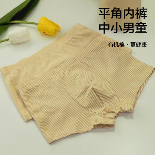 【中小男童平角内裤2条装】95%棉，素道有机彩棉-A类中小男童透气平角裤（基地直发-申通包邮），来自敦煌，品牌：素道【合作生产，公平贸易】 商品图0