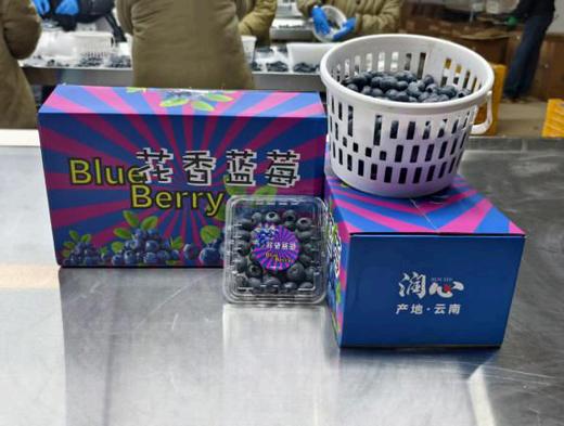 【云南花香蓝莓】蓝莓升级！果园直采，新鲜直达！硬度好，果粉足，风味绝佳。（周一、三、五12:00前下单，48小时内发货。） 商品图3