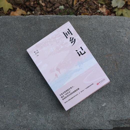 回乡记 商品图2
