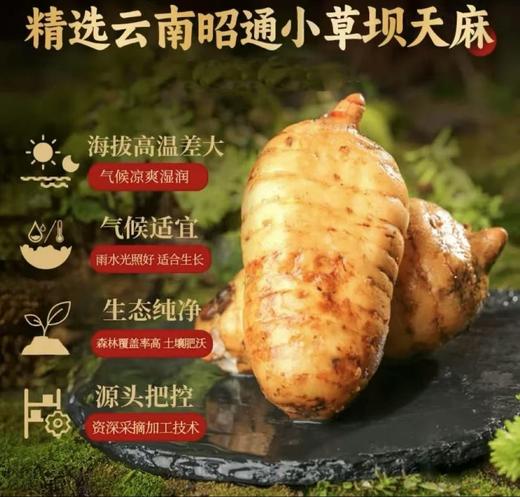 天麻蜜片云南昭通小草坝古法研制 商品图1