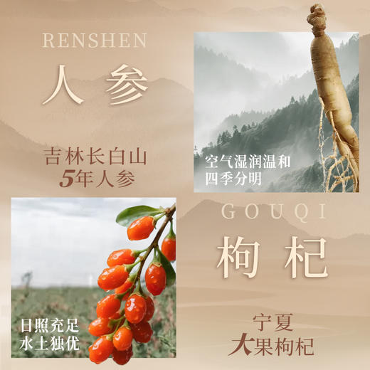 【甄选】人参枸杞原浆/红黑枸杞原浆 食养好搭档 独立包装 方便携带 低温破壁萃取 液态浓缩小分子 营养易吸收 商品图8