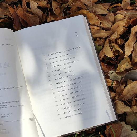 地狱彷徨:解读鲁迅《彷徨》(修订本) 商品图3