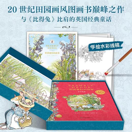 野蔷薇村的故事：纪念典藏 商品图4