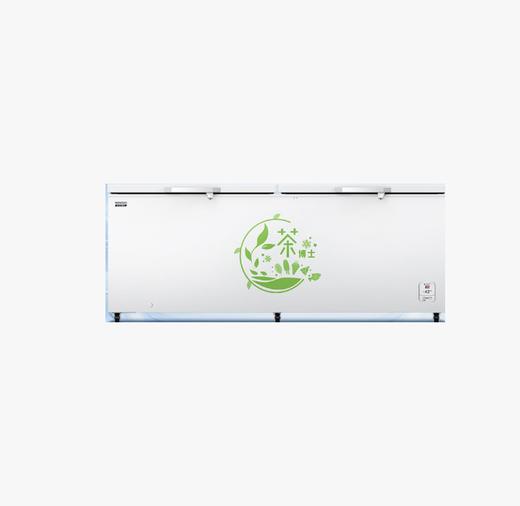 容声 冰柜 BD/BC-715ZEL/RX 715升 直冷 定频 单温区 二级能效 白色系 PCM内胆 商品图0