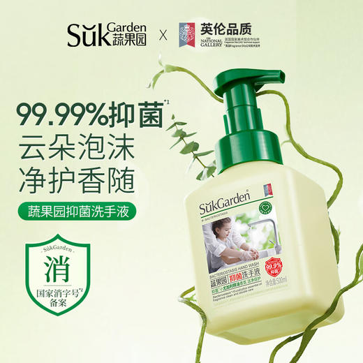 【500ml*3瓶】蔬果园乌木玫瑰抑菌洗手液/茶香泡泡洗手液/尤加利抑菌洗手液 奢宠精油香氛 绵密泡泡好清洗无残留 温和不刺激 全家都能用 商品图3