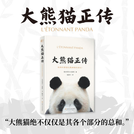 大熊猫正传 商品图0