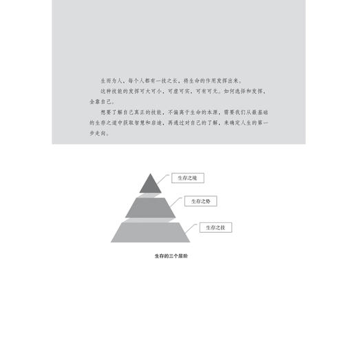 职场生存智慧:从小透明到顶梁柱的蜕变指南 商品图3