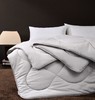 去年爆卖10W+的大豆被来了❗【水星臻选暖云灰屿石墨烯大豆被】安心+保暖+舒适+抑菌，❤️原生态的纯粹本质！☁️云朵般的包裹体验 ✨自带抑菌BUFF！ 商品缩略图3