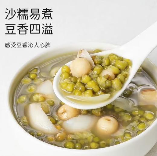 【YC】正宗东北绿豆新货五谷杂粮 商品图2