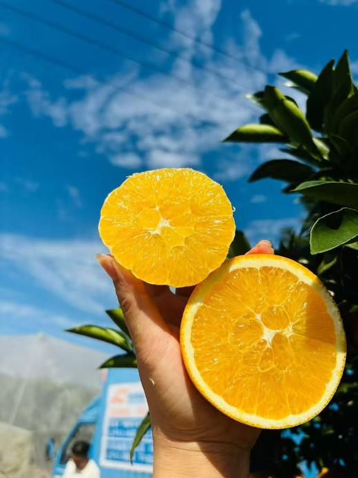 【产地直采】赣南脐橙，水分充足，橙香味浓郁，不加蜜，自然甜，口感好超级好，力推 商品图7