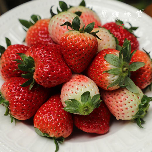 生态草莓（基地直发—顺丰空运）| 2斤装，来自河南汝州，生产者：曹云鹏【合作生产，公平贸易】 商品图9