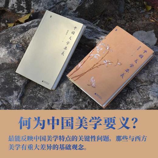 中国美学要义 商品图2