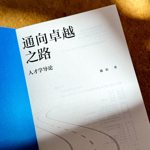 通向卓越之路 人才学导论 戴耘 人工智能时代人才 商品图6