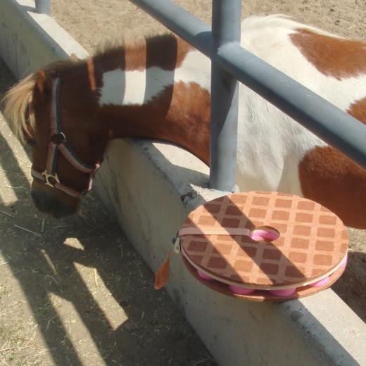 COOKIE 饼干坐垫 by Y17 studio 商品图4