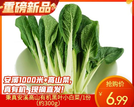 秉真安溪高山有机黑叶小白菜/1份（约300g） 商品图0
