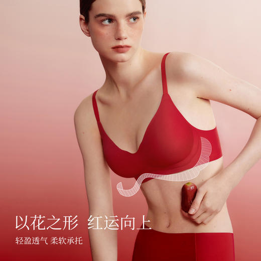 【E】素肌良品【小苍兰红运礼盒】&小蔷薇【红运礼盒】 商品图1