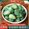 【YC】正宗翡翠腊八蒜新鲜绿蒜醋泡腌制大蒜糖醋蒜头下饭菜咸菜 商品缩略图2