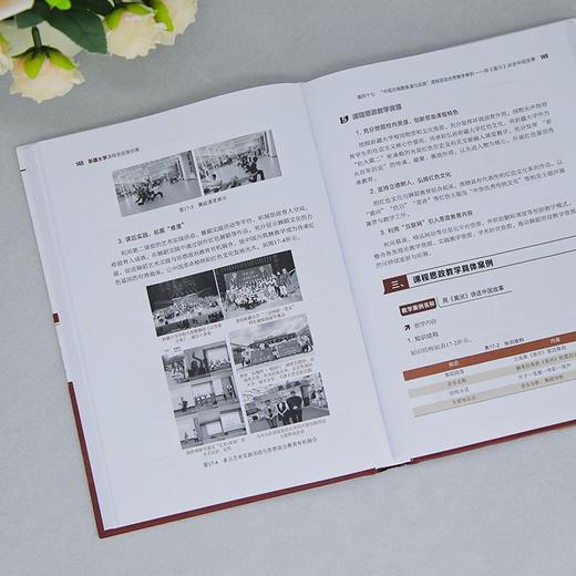 新疆大学课程思政案例集 商品图3