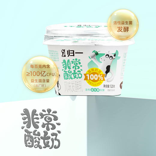 预售十天 归一非常酸奶风味发酵乳120g*12盒 自有奶源+活性益生菌的酸奶 商品图4