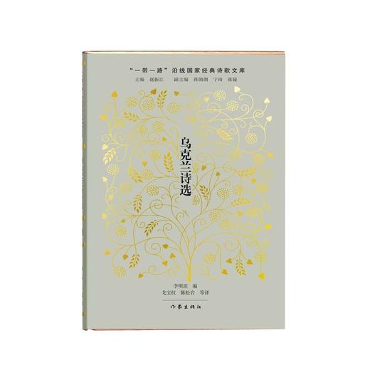 乌克兰诗选 商品图1