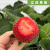 锦彤 商品缩略图2