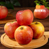 西域美农 瑞香红苹果 新疆疆樱桃苹果 商品缩略图5