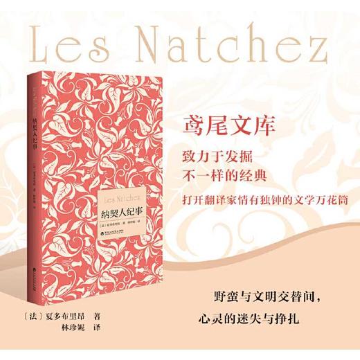 纳契人纪事 商品图0