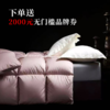 【春上新】【送2000线下无门槛券】10楼 恐龙 臻品白鹅绒冬被(粉） 吊牌价9180-9980元 活动价4399元（大小同价） 商品缩略图0