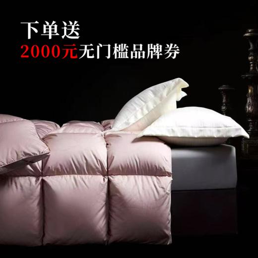 【春上新】【送2000线下无门槛券】10楼 恐龙 臻品白鹅绒冬被(粉） 吊牌价9180-9980元 活动价4399元（大小同价） 商品图0