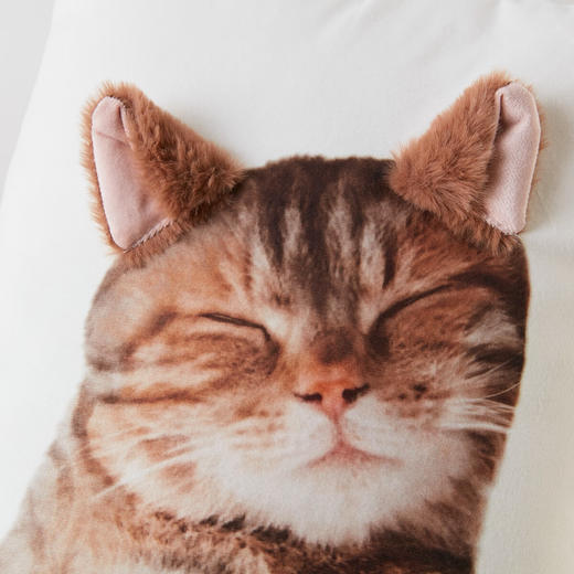 沙发椅子含芯抱枕靠垫柔软立体卡通 商品图4