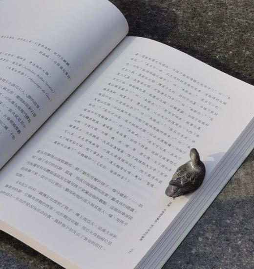 【薅羊毛4】《筷子：饮食与文化》，平装，16开，[美]王晴佳著，香港三联2022年初版一刷， 376页，定价148，售价48元。 商品图13