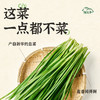 【赠长长肠70g*2袋】小黄象猪肉白菜/猪肉韭菜饺子双口味 商品缩略图5