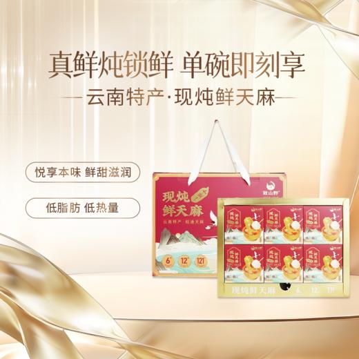 天麻鲜炖礼盒装现炖鲜天麻即食 商品图0