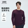 【门店同款&含绵羊毛】圣得西冬季打底质感羊毛衫25年男士针织衫 商品缩略图0
