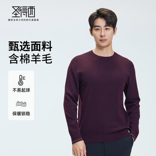 【门店同款&含绵羊毛】圣得西冬季打底质感羊毛衫25年男士针织衫 商品图0