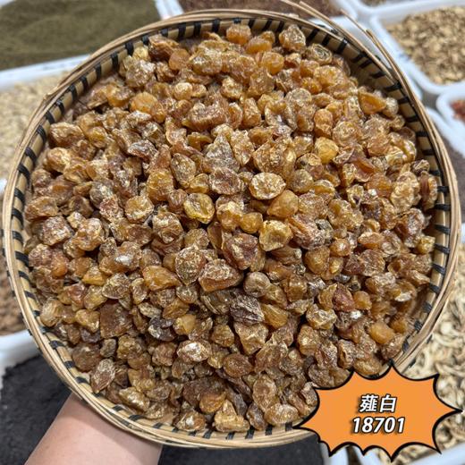 薤白 当季新货 农家生晒 中药材 商品图1